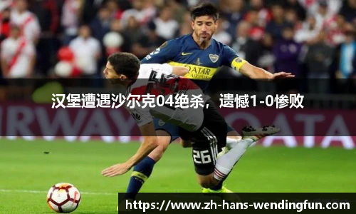 汉堡遭遇沙尔克04绝杀，遗憾1-0惨败